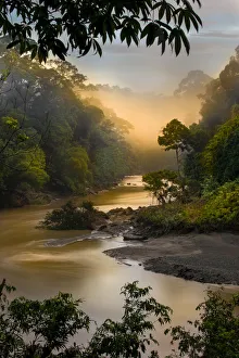 South East Asia Prints: Dawn / sunrise over the Segama River