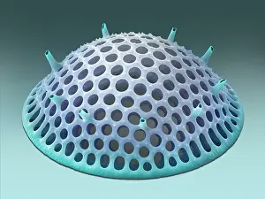 Cryptic Prints: Diatom (Stephanopyxis grunowii) - False-coloured scanning electron micrograph