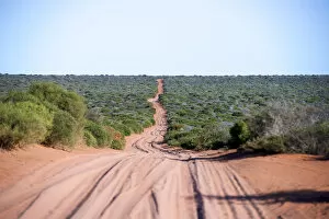 Images Dated 24th August 2020: Dirt road through shrubland. Francois Peron National Park, Shark Bay, Western Australia