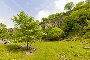 Disused limestone quarry supporting a wide range of vegetation. Millers Dale