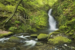 Waterfalls Collection: Dolgoch Falls, Gwynedd, Wales, UK, May 2015