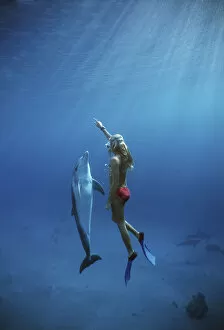 Nature Collection: Dolphin trainer interacting with Bottlenose Dolphin (Tursiops truncatus), Dolphin Reef