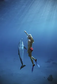 2010 Highlights Collection: Dolphin trainer interacting with Bottlenose Dolphin (Tursiops truncatus), Dolphin Reef