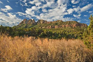 Physical Geography Prints: Dried grasses and red rock geological formations along the Smithsonian Butte National Scenic byway