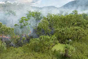Aerial View Prints: Drone view of a wet season fuel reduction burn taking place on a privately owned conservation property