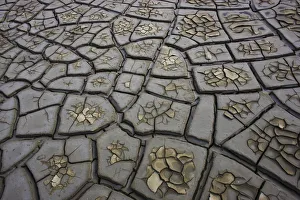 Theo Allofs Prints: Drought patterns in muddy soil, Camargue, France, May 2009