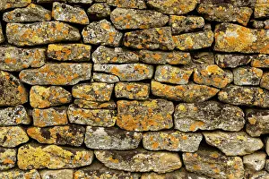 Cotswolds Prints: Dry stone wall made of Cotswold stone and covered in lichens