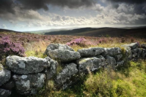Dry stone wall, near Birch tor, Dartmoor NP, Devon. September 2008