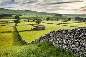 Images Dated 23rd June 2016: Dry-stone walls and barns in Wensleydale, Yorkshire Dales National Park, North Yorkshire