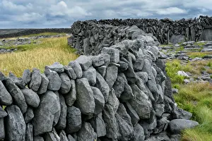 Dry Stone Wall Prints: Drystone wall, Inisheer, Aran Islands, County Galway, Republic of Ireland. June, 2019