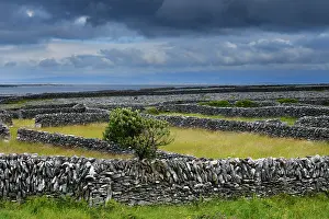 Dry Stone Wall Prints: Drystone walls, Inisheer, Aran Islands, County Galway, Republic of Ireland. June, 2019