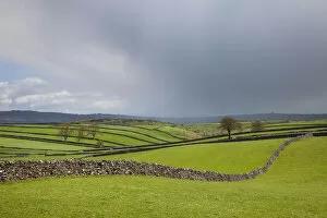 Images Dated 13th May 2013: Drystone walls near Litton, Peak District National Park, Derbyshire, UK, May