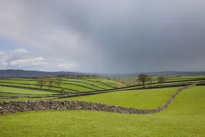 Horizon Prints: Drystone walls near Litton, Peak District National Park, Derbyshire, UK, May