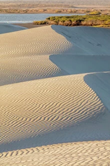 Images Dated 17th October 2018: Dunes and estuary, El Datil, El Vizcaino Biosphere Reserve, Baja California, Mexico, February