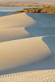 Ripple Prints: Dunes and estuary, El Datil, El Vizcaino Biosphere Reserve