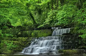 Verdant Prints: Dunneill River waterfalls, Knockaculleen, County Sligo, Republic of Ireland. May, 2023