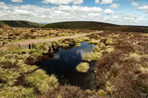 Upland Prints: Dystrophic pond stained dark brown next to Offa's Dyke Path boundary between Wales and England