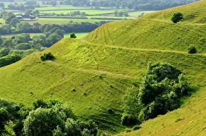 Iron Age Prints: Earthworks at Hambledon Hill, remnants of Iron Age hillfort
