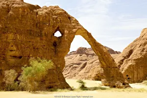 Arch Prints: Elephant arch - eroded sandstone rock formation in the Ennedi Natural And Cultural