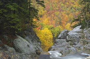 Images Dated 28th February 2012: Ellis River, White Mountains, New Hampshire, USAm October 2007