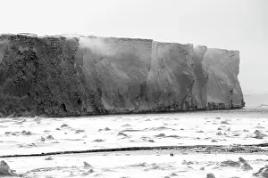 Sphenisciformes Prints: Two Emperor penguins (Aptenodytes forsteri) standing side by side on ice infront of a huge iceberg