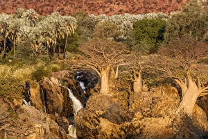 Images Dated 13th February 2020: Epupa Falls, Kunene River, northern border of Namibia with Angola