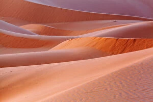 North Africa Collection: Erg Chebbi dune near Merzouga, Sahara Desert, Morocco, October