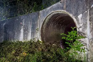 Charente Maritime Prints: Eurasian otter (Lutra lutra) exiting a wildlife underpass below the A10 highway at night