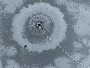 Aerial View Prints: Eurasian otter (Lutra lutra) tracks on frozen pond with hole in ice made by the otter