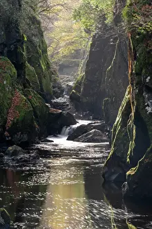 Landform Prints: Fairy Glen on the River Conway near Betws-Y-Coed with late autumn colour
