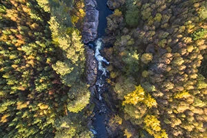 Above Gallery: Falls of Truim running through autumnal woodland, Cairngorms National Park, Scotland