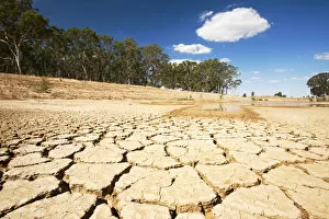 Agriculture Gallery: Farmers watering hole on a farm almost dried up during drought which lasted from 1996-2011