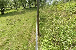 Boundary Prints: Fenceline showing contrast between sheep grazed and ungrazed Aspen woodland