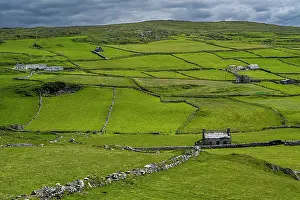 Fields and dry stone walls, Beara Peninsula, County Cork, Republic of Ireland. June, 2022