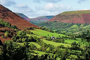 Hedge Prints: Fields in the lowlands of the Vale of Ewyas