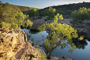 Images Dated 7th December 2015: First light on the bush at Ross Graham Lookout, Murchison River Gorge, Kalbarri National Park