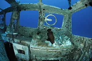 Images Dated 30th May 2009: Fish swimming around in the wreck of P29 patrol boat, Malta, Mediteranean, May 2009