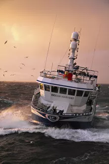 2010 Highlights Gallery: Fishing vessel Ocean Harvest on the North Sea, May 2010. Property released