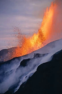 Images Dated 7th January 2014: Fissure eruption of Chico Volcano into 9km diameter caldera. Sierra Negra volcano