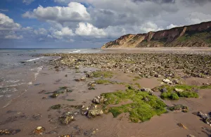 Exploring Britain Collection: Flints on West Runton beach, Norkfolk, UK July