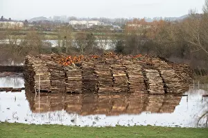 Herefordshire Prints: Floodwater surrounding stack of logs being stored in field prior to collection