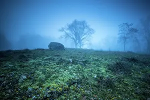 Rock Prints: Fog surrounding the La Giettaz cup stone at sunset