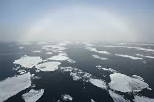 Images Dated 18th August 2010: Fogbow over pack ice, Svalbard, Arctic Norway 2010