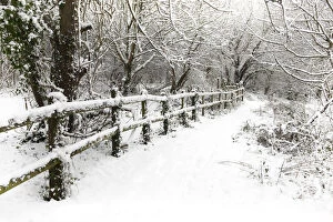 Footpaths Gallery: Footpath with fencing alongside woodland, after recent snowfall, Winter, UK, January 2010