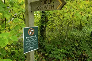 Sussex Prints: No foraging sign under public footpath signpost