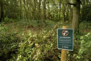 Sussex Prints: No foraging sign in woodland, Ebernoe Common Nature Reserve