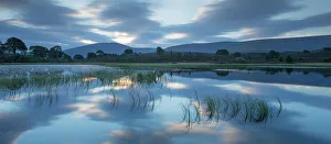 Rspb Prints: Forest lochan at dawn, Abernethy National Nature Reserve
