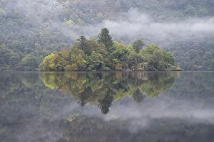 Forested island on Loch Lomond, Loch Lomond and the Trossachs National Park, Scotland, UK