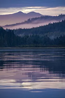 Images Dated 15th December 2020: Forested scenery, with hills, mist and protected waters