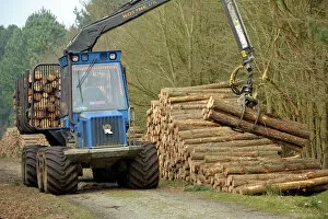 Images Dated 22nd February 2011: Forestry workers with forwarder machine, removing felled timber from Dunwich Forest